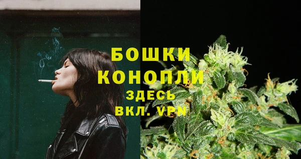 PSILOCYBIN Семилуки