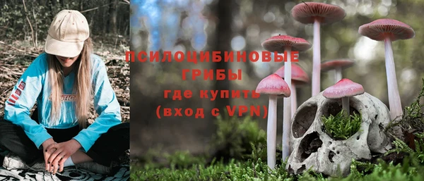 PSILOCYBIN Семилуки