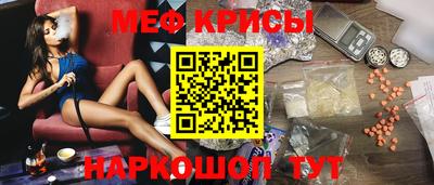 шишки Кандалакша
