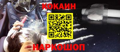 шишки Кандалакша