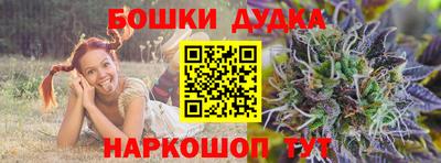 шишки Кандалакша