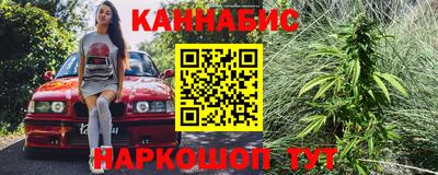 шишки Кандалакша