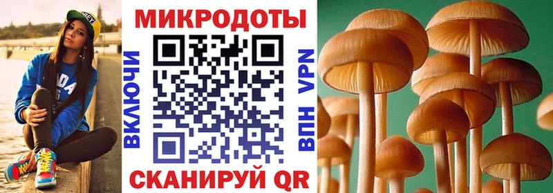 Псилоцибиновые грибы GOLDEN TEACHER  Сосновоборск 