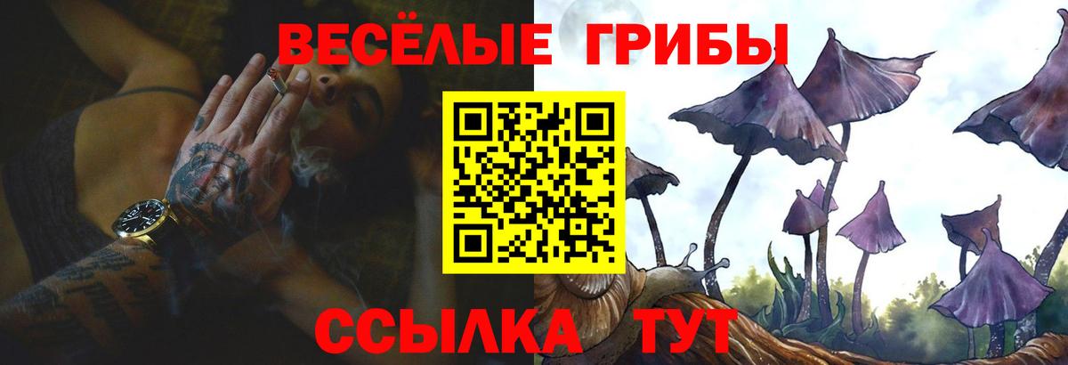 Псилоцибиновые грибы мицелий Сосновоборск